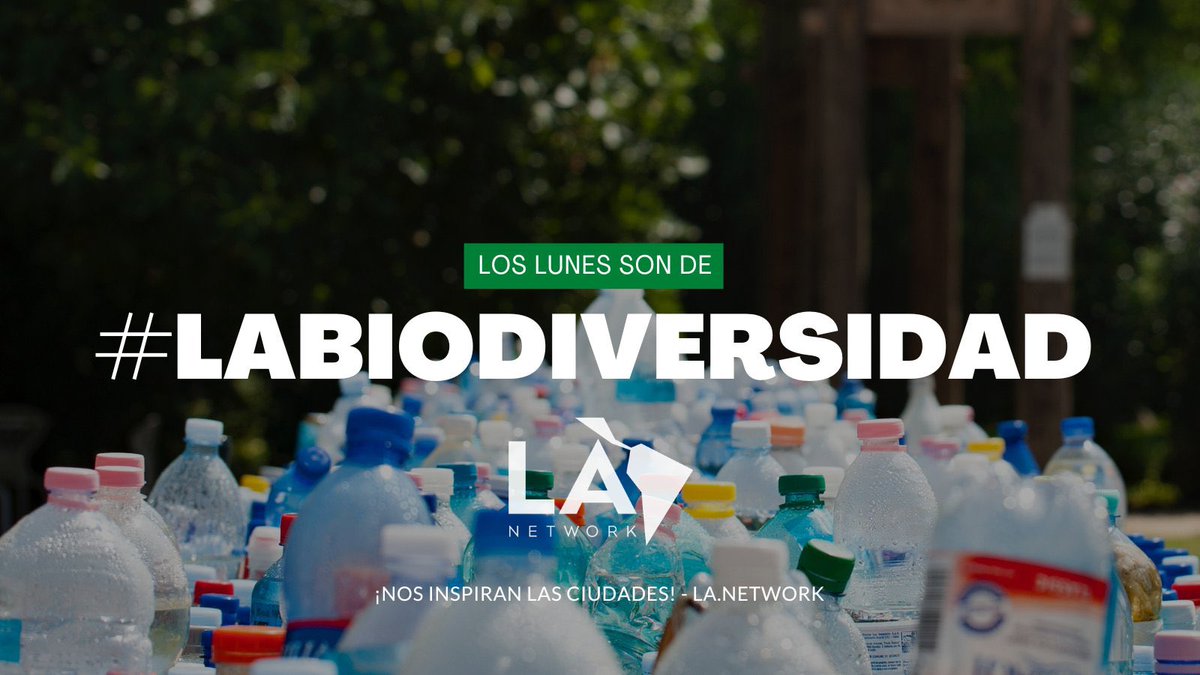 La_network's tweet photo. En la actualidad, 27 países de los 33 países de la región de América Latina y el Caribe (ALC) han decretado leyes nacionales o locales para la reducción, prohibición o eliminación de artículos plásticos de un solo uso. Sin embargo, aún queda mucho por hacer. 

#LABiodiversidad https://t.co/culJWaiXPa