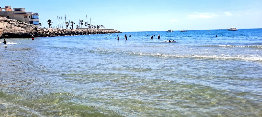 Vakapiupiu's tweet photo. Ara al migdia la #TemperaturadelAiguadelMar ha arribat a 29.7°C a -1 m
30.1° a la vora de la sorra, una sorra que crema a 52°C #Balmins a 14 #agost2023 
Algunes algues i algunes mesuses rizostoma pulmo 
Temperatura de l'aire ara 29.8°C
Tmínima 23.0
Tmàxima 29.9°
#CataCuba on fire https://t.co/LaaT7KViUG