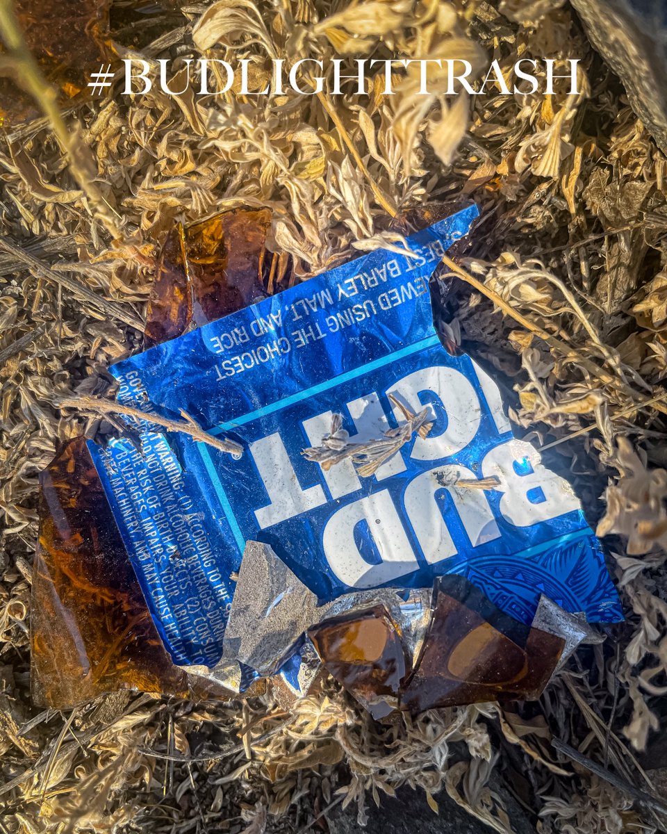 BrittsImages's tweet photo. Broken Bud of Taos County
#budlighttrash #startedabin https://t.co/Fg2fZ9BAn3