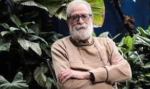 Gochita Bella tweet media