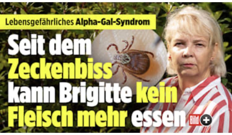 Morten Krüger tweet media