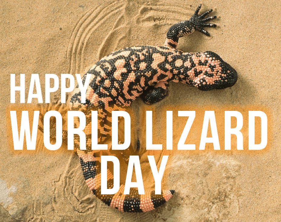 Happy World Lizard Day!🦎

We’ve had a meeting this morning and to celebrate today we’re giving all today’s tips for FREE…🚀

Plus we’ll give £1000 to one of you lucky people!🤑

Enter👇

1️⃣ Like &amp; Rt this post!♻️
2️⃣ Follow <a href="/Lizard_bets/">Lizard Bets</a> 
3️⃣ Join our FREE Telegram group🦎

GO!💚