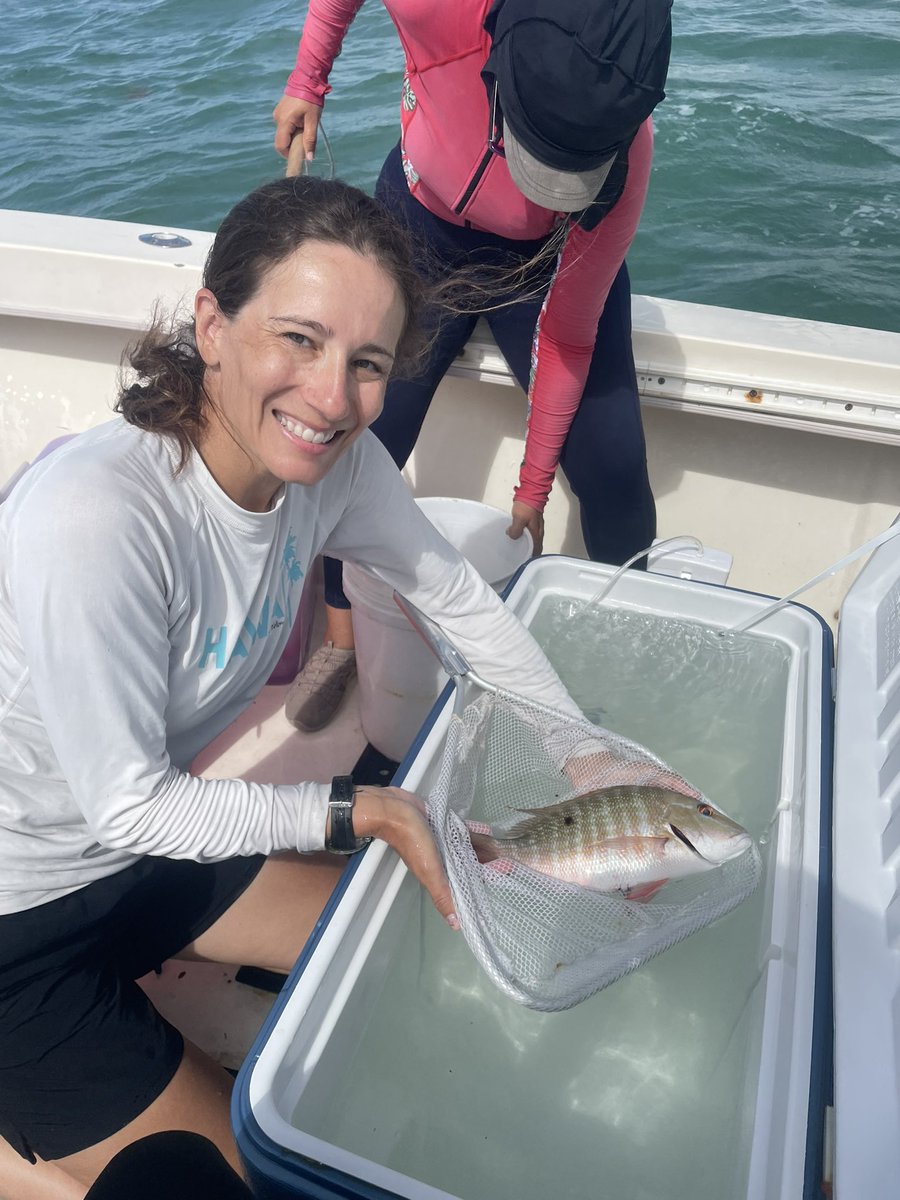 Alharborne's tweet image. Marine science is fricking hard, so after a long, hard summer in the Keys we had to celebrate another empty box of @Innovasea transmitters… Great working with you @MarineBioMeg @Dr_Yannis and all the team…
@FIUMarineBio @FIU_FISHSCAPE @FIUEnvironment 
#trackingnotslacking