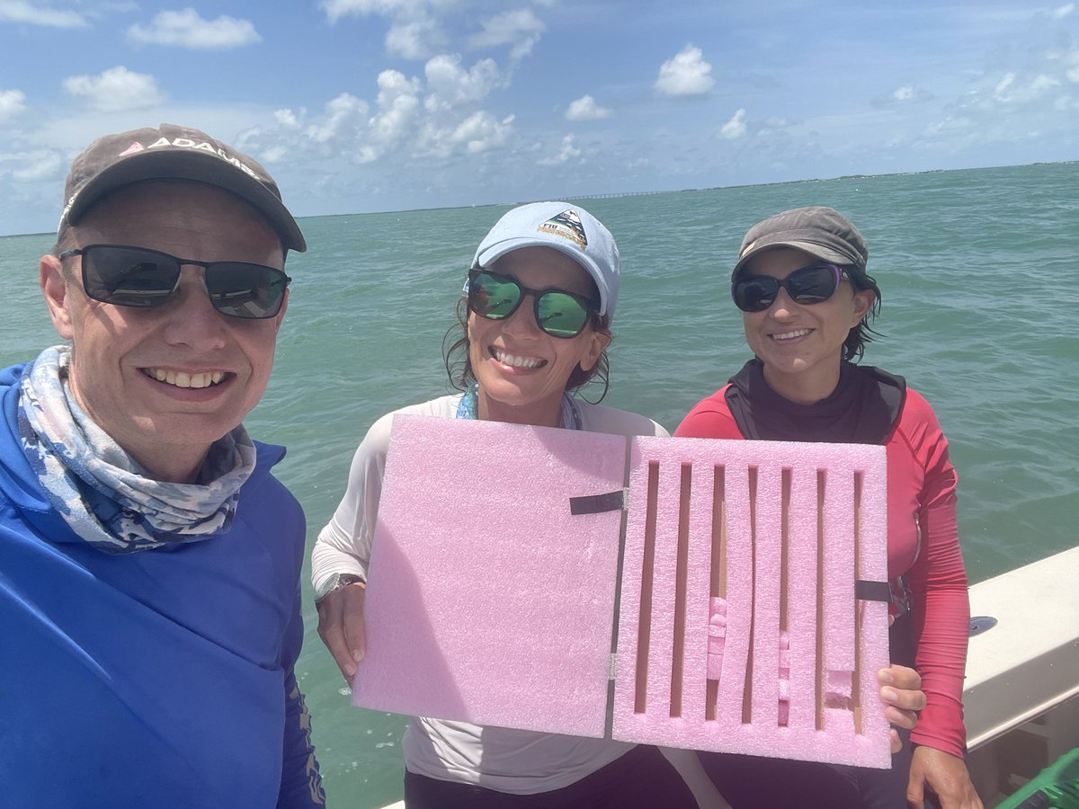 Alharborne's tweet image. Marine science is fricking hard, so after a long, hard summer in the Keys we had to celebrate another empty box of @Innovasea transmitters… Great working with you @MarineBioMeg @Dr_Yannis and all the team…
@FIUMarineBio @FIU_FISHSCAPE @FIUEnvironment 
#trackingnotslacking
