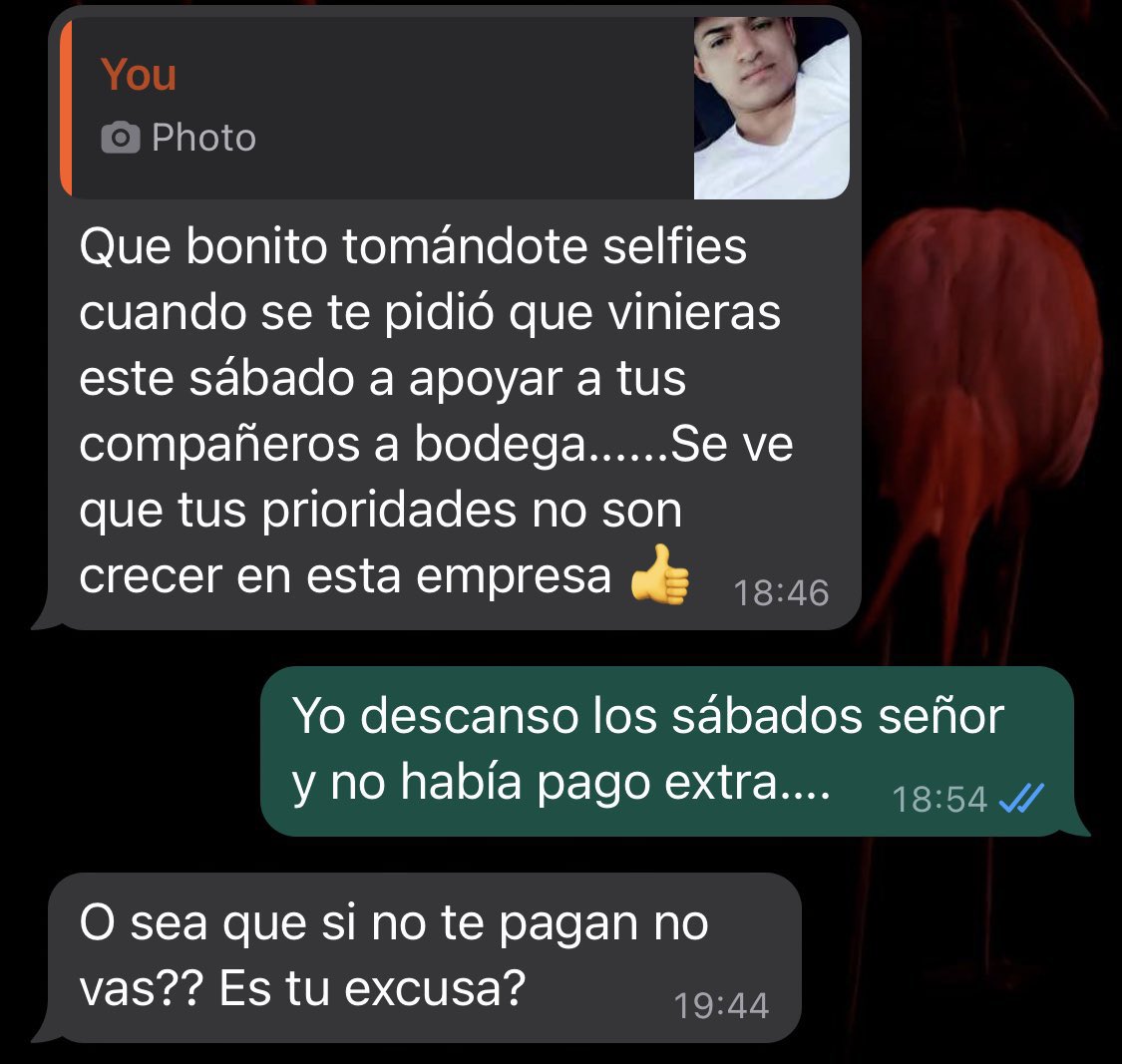 Daniela Villa tweet media