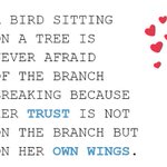 Photo by Susan (@suzi_rob)