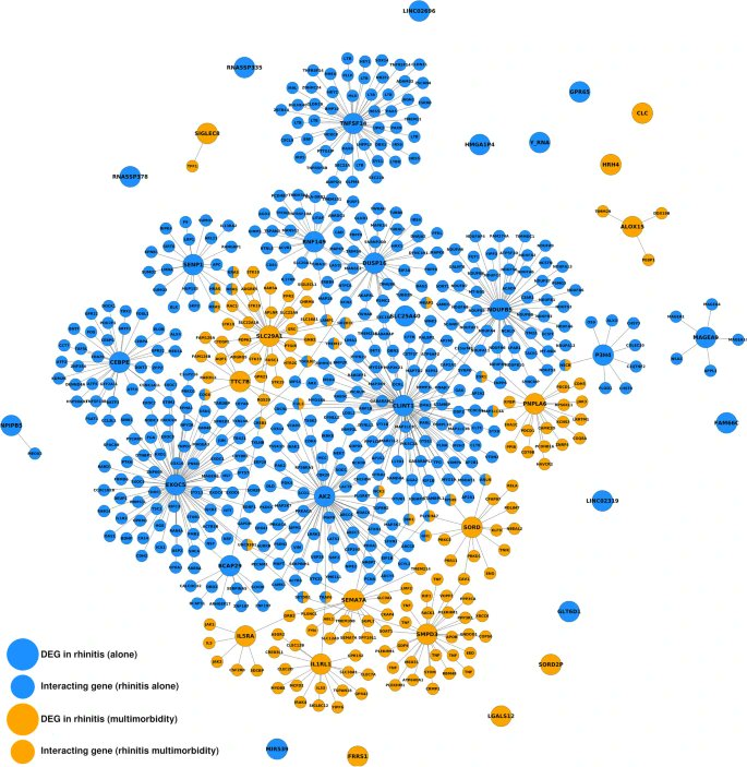 ARIAGuideline's tweet photo. Distinction between #rhinitis alone and rhinitis with #asthma using #interactomics: genomic studies suggest that rhinitis alone and rhinitis with asthma are operated by distinct pathways. Open Access. https://t.co/6Abx9IjA1S https://t.co/Bn0EElLKT7