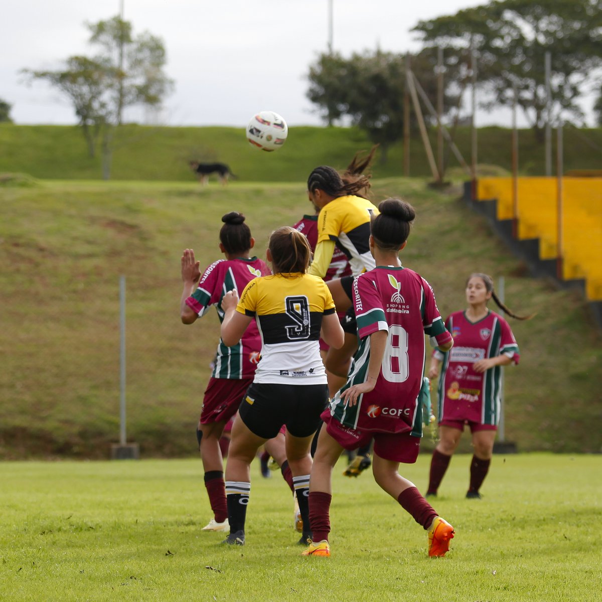 criciumafem's tweet photo. A equipe feminina do Tigre empatou com o Fluminense de Joinville pelo placar de 2 a 2 na segunda rodada do Campeonato Catarinense.

Saiba mais em:
https://t.co/S3qi7aQMG4 https://t.co/6B9ulobmPS