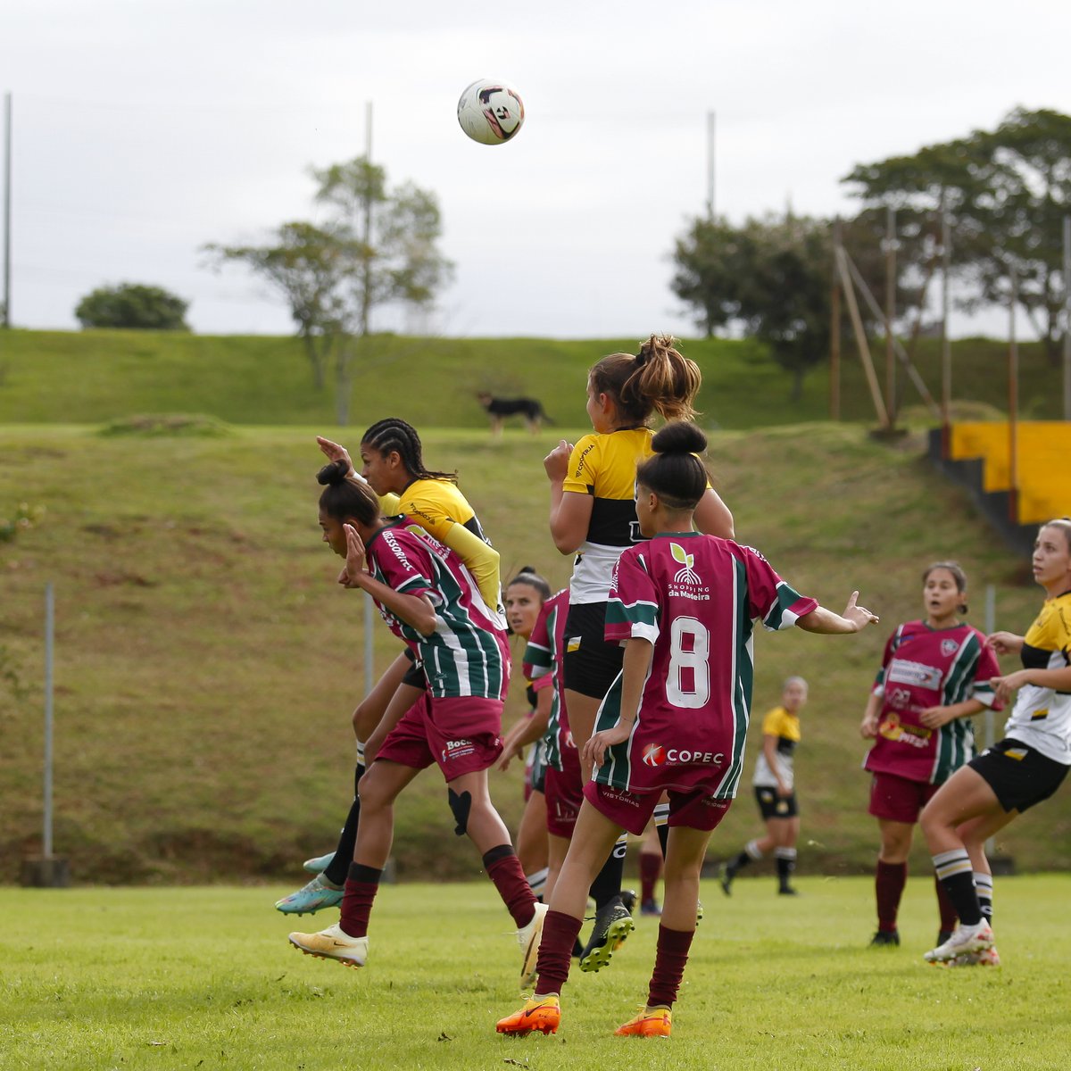criciumafem's tweet photo. A equipe feminina do Tigre empatou com o Fluminense de Joinville pelo placar de 2 a 2 na segunda rodada do Campeonato Catarinense.

Saiba mais em:
https://t.co/S3qi7aQMG4 https://t.co/6B9ulobmPS