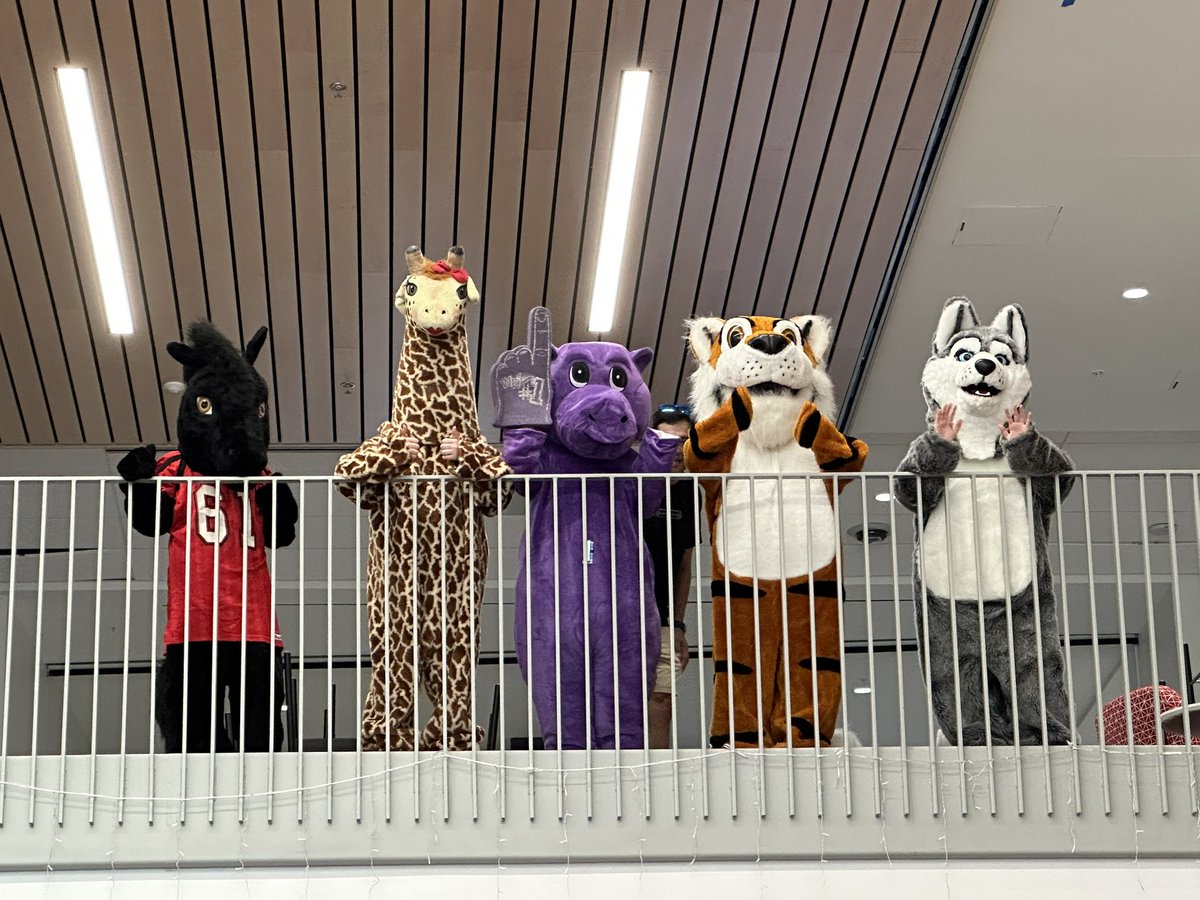 Karen Bevan tweet media