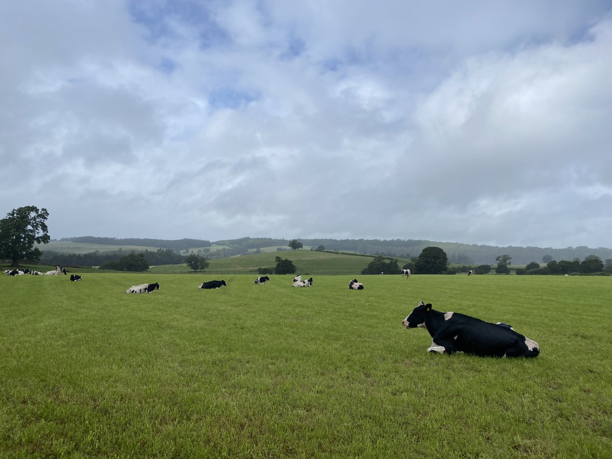 Would you consider an off-market private sale?

We have a retained client (cash buyer) seeking a dairy farm or farm suitable for conversion, extending from 300-700 acres in Cumbria or SW Scotland 🐮

Call Shirley on 01228406274 (DD) or 07740176413 for a confidential conversation.