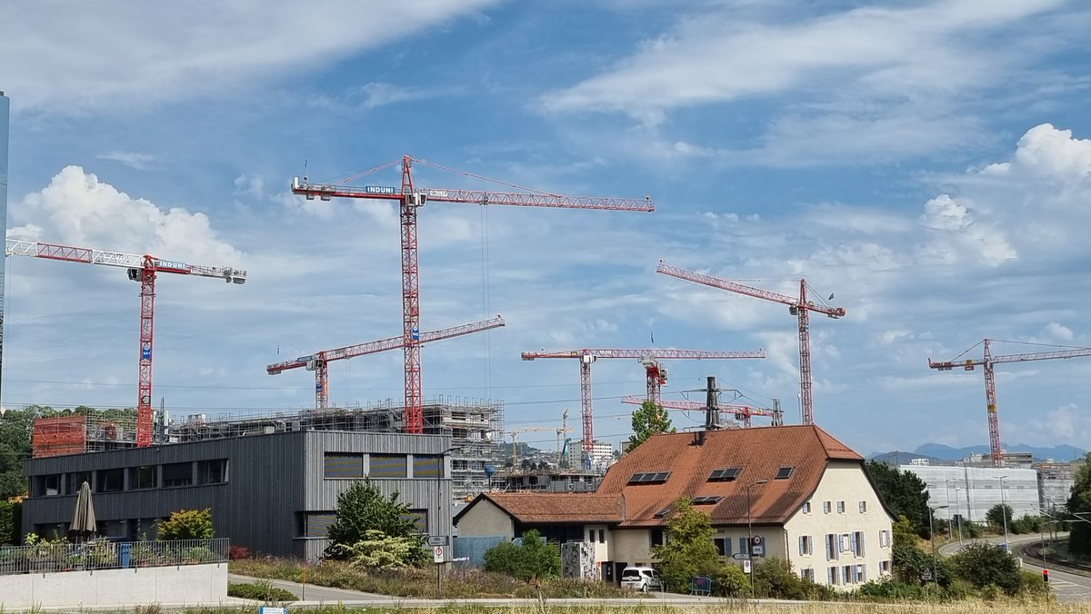 carbonateTuri's tweet photo. TIL a group of cranes is called a sedge. Here we see a sedge of Swiss cranes on the #geopolis campus in Lausanne. https://t.co/MWpoy3mhWQ