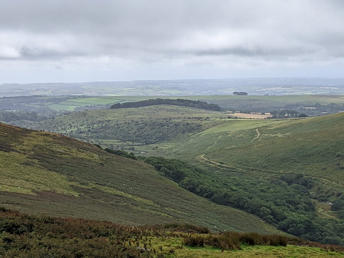 15.5mile run over Dartmoor, followed by a few Beers around The Barbican, Plymouth.