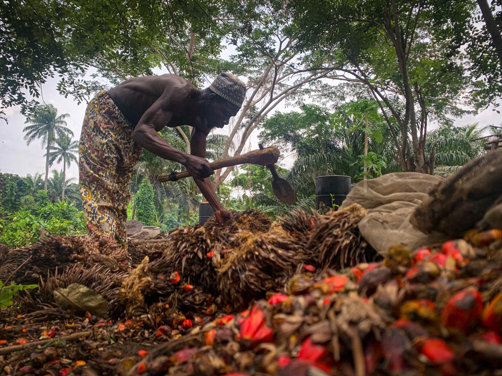 🏅BELLOBALE🏅 tweet media