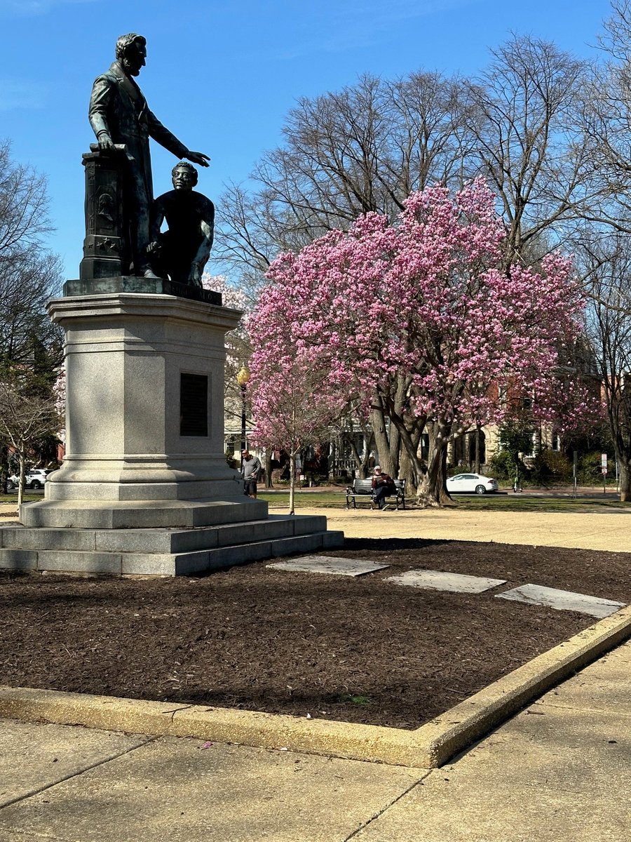 AARPDC's tweet photo. It's Photography Week and we want to see your best pictures of the District! RT this and add an original photo you captured of DC. You may see your image used in future AARP DC materials.
To check out upcoming events for #PhotographyWeek, visit: https://t.co/yTknUNzxno https://t.co/KPzm8ewORD