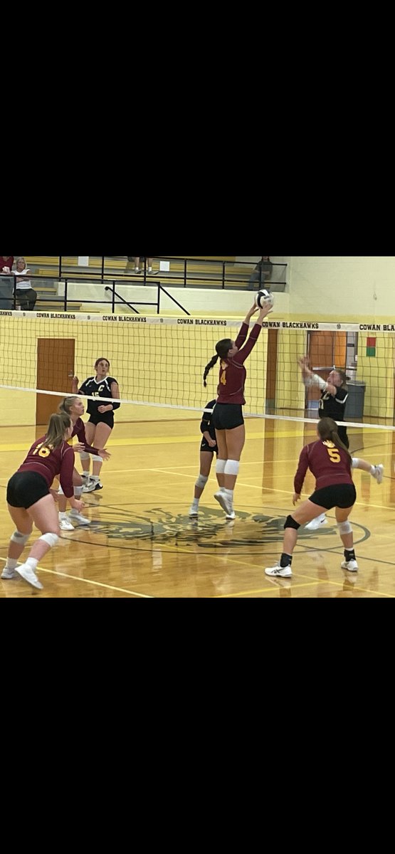 Alexandria Tigers tweet media