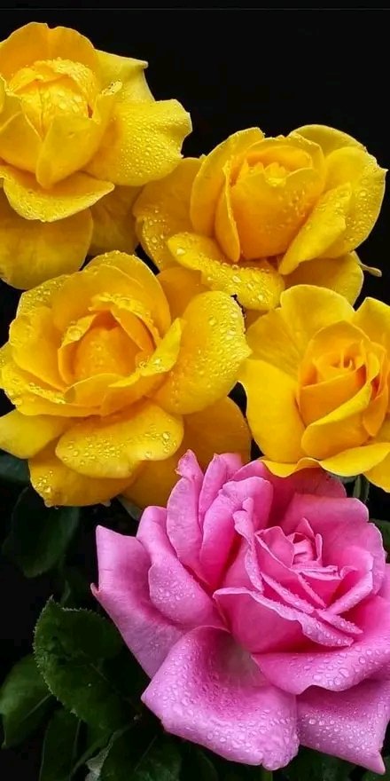 Gabriela Casiano (@gabrielacasian2) on Twitter photo 