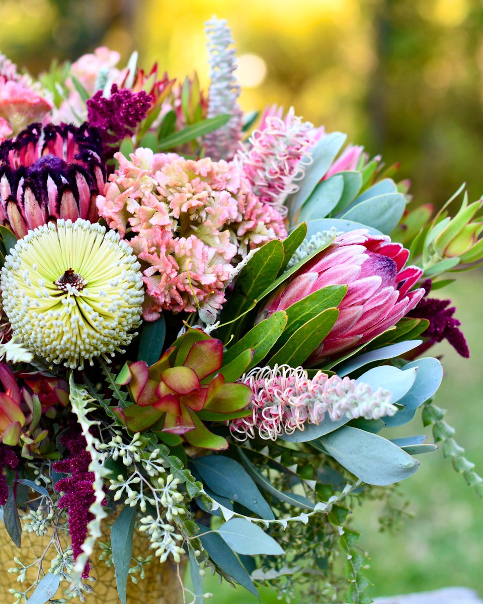 Let yourself be drawn by the strange pull of what you love. It will not lead you astray. - Rumi 🍃🌷💕🌸🌿 #mondaymotivation #liveyourpassion #inspiredbynature #protea #allthingsbotanical #cagrown