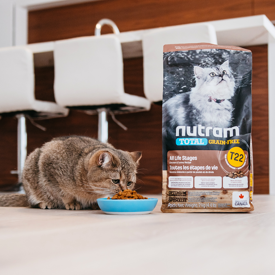 Offrez un beau début de journée à votre animal favori en lui servant de la nourriture Nutram.