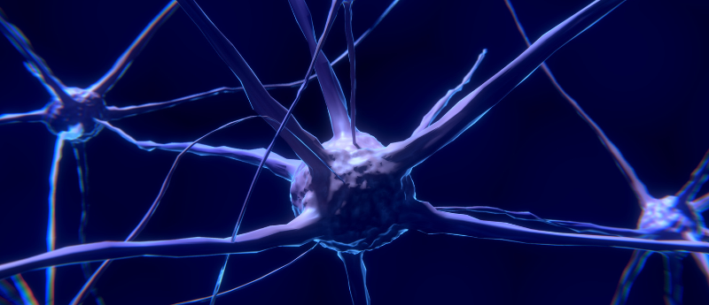 Is it time rethink the role that symptoms play in concussion? This editorial explores how a quantitative understanding of brain health at the cellular level could improve the way we diagnose, prevent and heal concussion. #OpenAccess #Concussion 

>> bit.ly/447Rt1Y