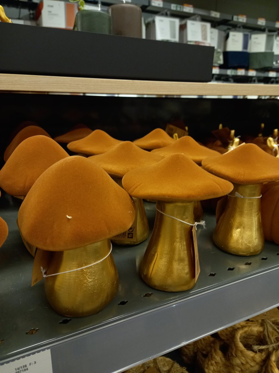 EmhaStranger's tweet photo. Europris leverer på dekoren i høst. Yes I do want to decorate my home like a cottagecore goblin cottagecore witch https://t.co/DtyaDz6zd6