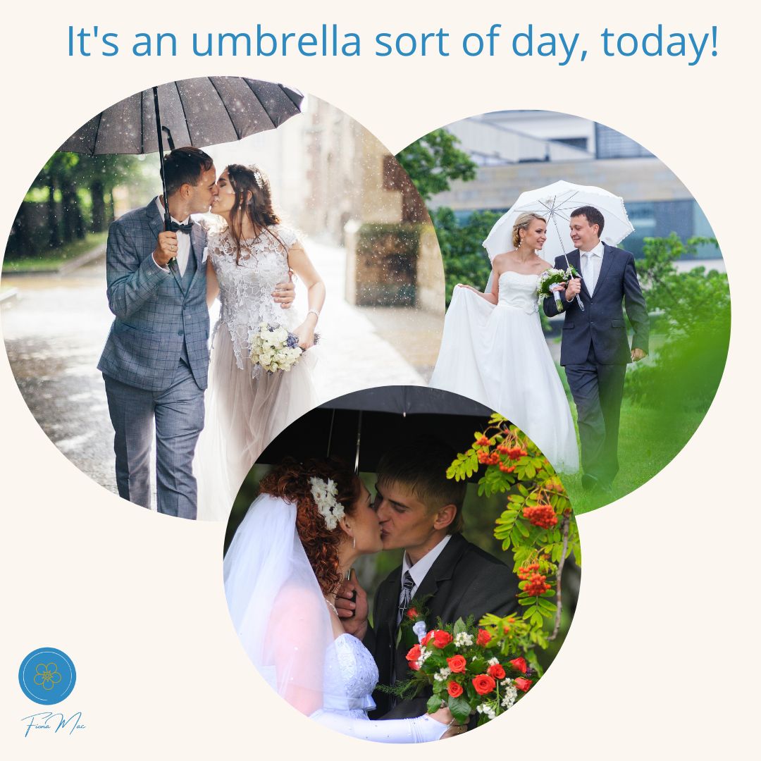 Fiona Mac Celebrant 💙 tweet media