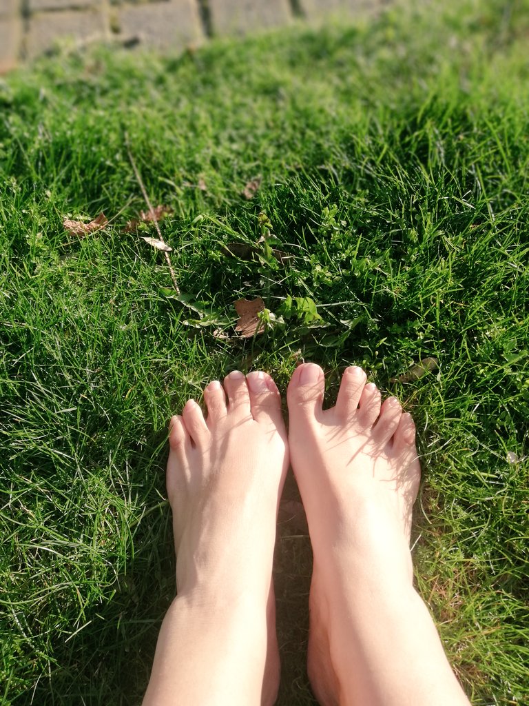 Ladyvenus981's tweet photo. I love being in nature🌻

#feet #NaturePhotography https://t.co/XDj0wuh2vC
