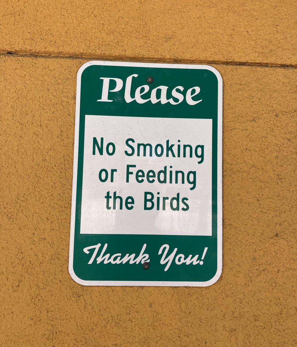 No se fume a los pájaros (no gallos)