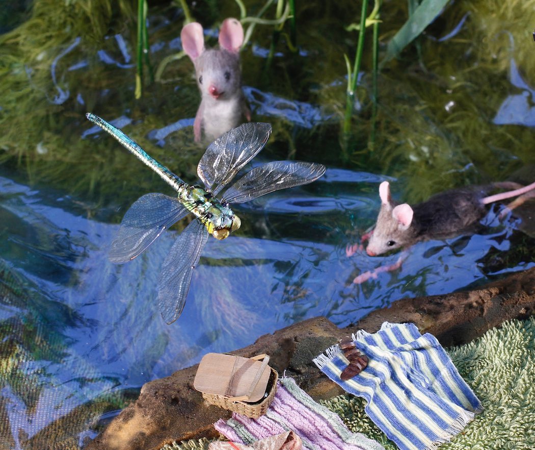 Wild swimming