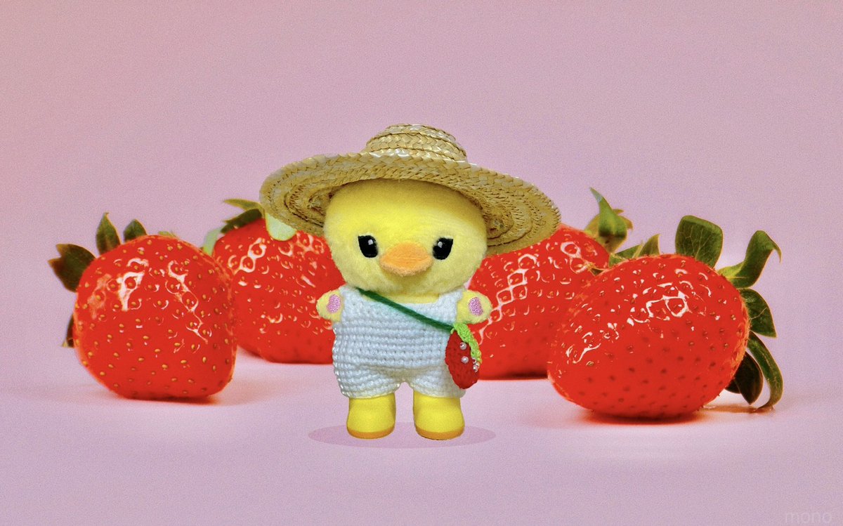 딸기밭 그 뺑유니