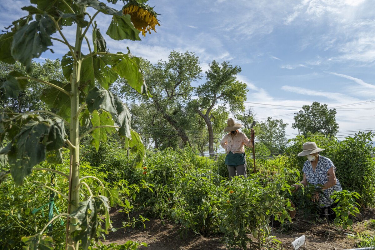 CBE_MIIS's tweet photo. Congress is writing the Farm Bill now. Our food system and #climate system are connected. We need to empower small farmers and ranchers, move away from Big Ag, and treat workers well. #WeCanDoThis #WriteYourSenator #YourVoiceMatters
https://t.co/Yzu4XEbxTF https://t.co/8VcytAhe01