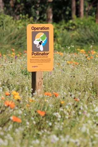 SyngentaTurfCanada tweet media