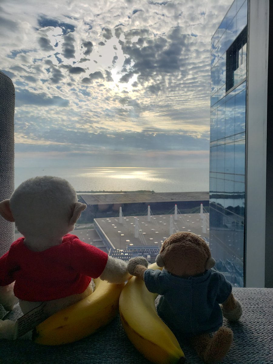 TravelingMocha's tweet photo. Banana breakfast overlooking Lake Michigan. #MonkeyBusiness #parliament #PoWRp #chicago #PanelistSupportAnimal #bananas #breakfast https://t.co/Cus5BW4o3R