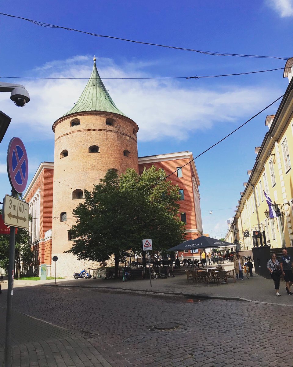 Kit Massey tweet media