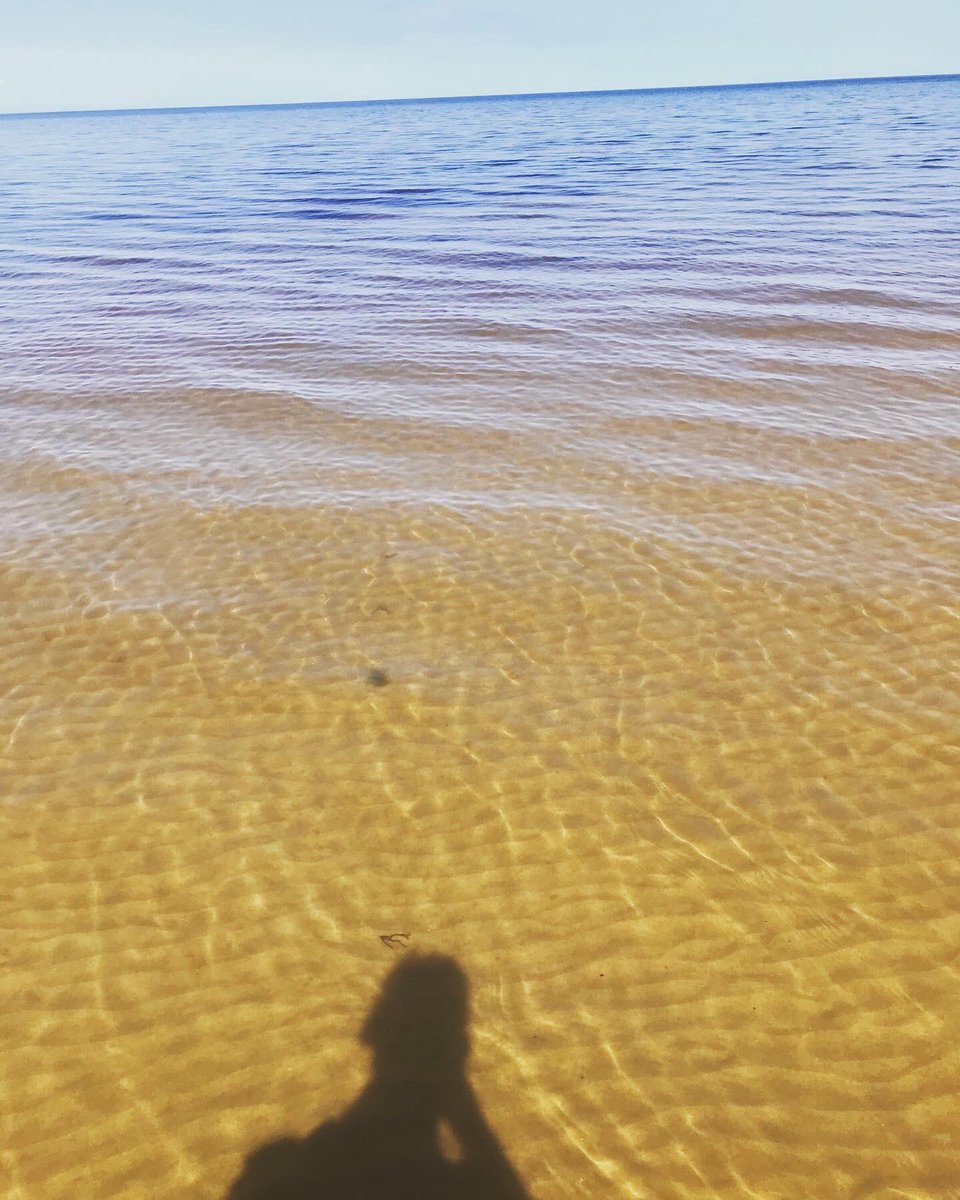 Kit Massey tweet media