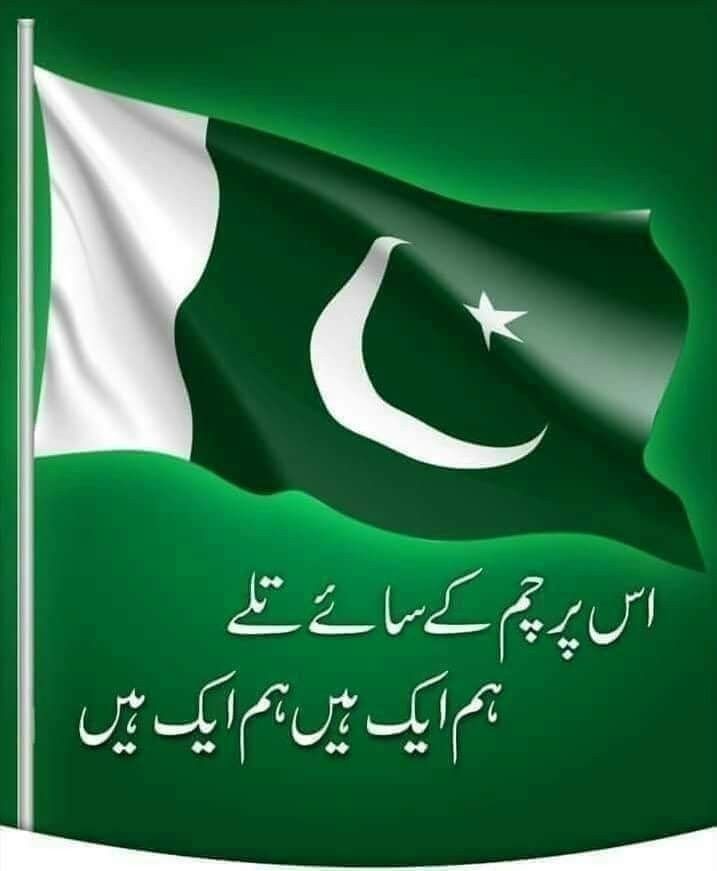 Celebrating the legacy of our founding leaders on #14thAugust_Pakistan , who lit the path of freedom through their relentless struggles. Let's cherish and protect the independence they gifted us.