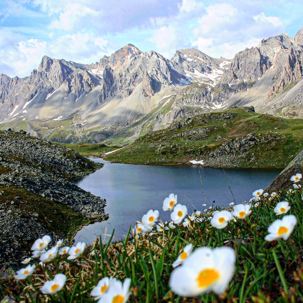 Travelsandphoto's tweet photo. Au Lac long, haute vallée de la Clarée.
#hautevallée #nevachetourisme #mountainflowers #myhautesalpes #alps #alpes #spring #mountainlovers #moubtains #naturephotography #flowerstagram #naturelovers #montagne #francemontagne #briancon #francemontagnes #francetourisme https://t.co/SfIcKMaaXq