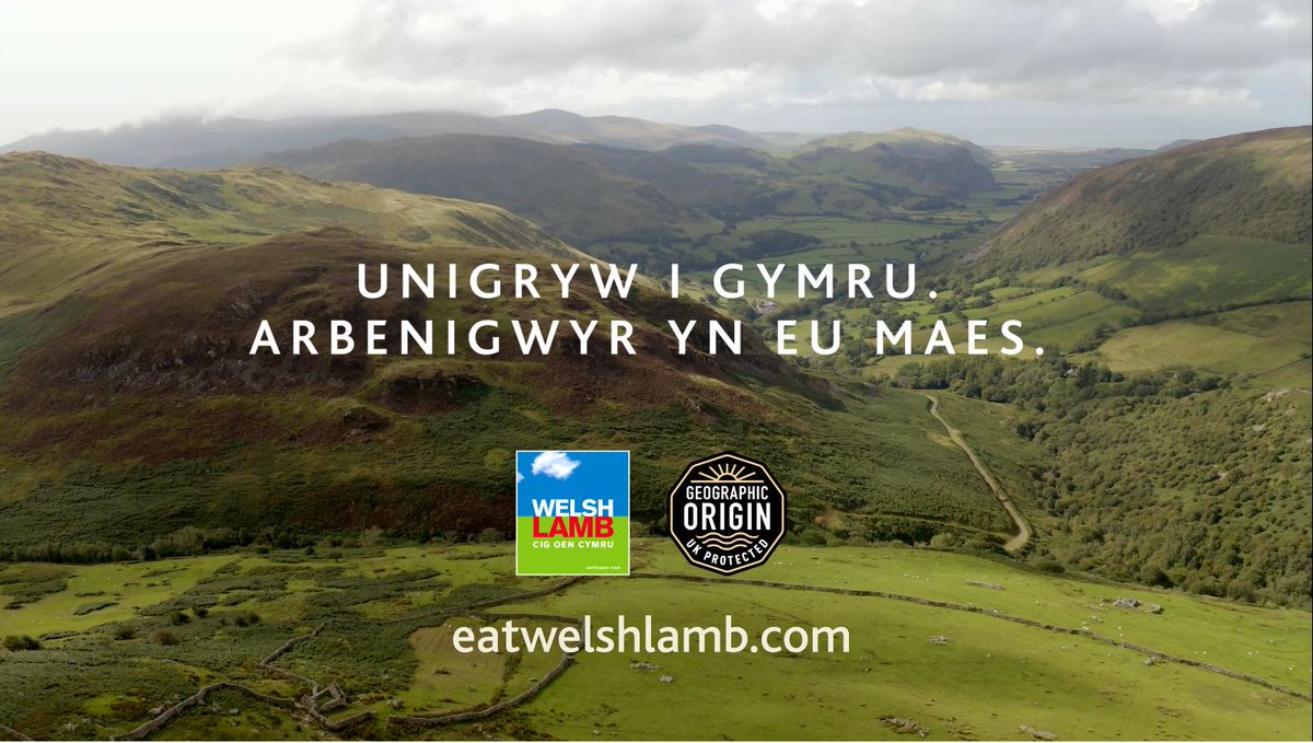 A fyddwch chi’n gwylio <a href="/Ffermio/">Ffermio</a> ar <a href="/S4C/">S4C 🏴󠁧󠁢󠁷󠁬󠁳󠁿</a> heno?

Cadwch lygad allan am ein hysbyseb #CigOenCymru newydd sydd wedi bod yn ymddangos ar setiau teledu ar draws y wlad yr wythnos hon.
Cliciwch yma i weld mwy 👉bit.ly/3DRNNqC
#CaruCigOenCymru #yagym
<a href="/HybuCigCymru/">HCC</a> <a href="/WelshLamb_PGI/">Welsh Lamb</a>