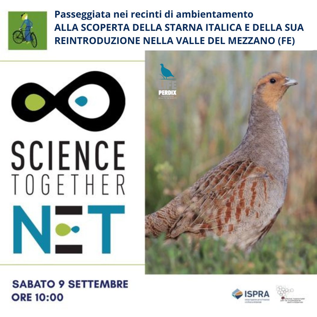 #LIFEproject #LIFEprogramme #perdix
𝗦𝗔𝗩𝗘 𝗧𝗛𝗘 𝗗𝗔𝗧𝗘!
Il 9 settembre prossimo Ispra organizza una passeggiata con i ricercatori tra i recinti di ambientamento del Mezzano. Il percorso è adatto a famiglie e bambini. Registrazione gratuita qui: isprambiente.gov.it/.../sta.../reg…