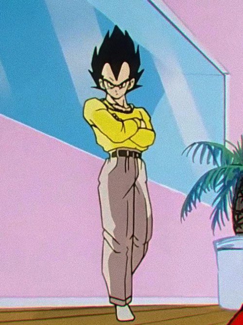 LAKUTIS's tweet photo. My role model is casual vegeta https://t.co/e2maIzTLUG
