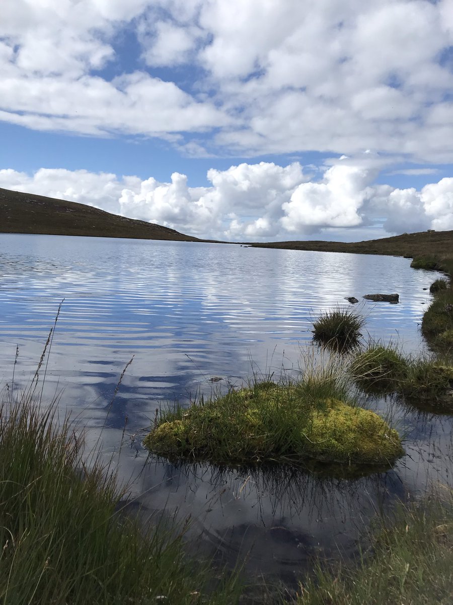 Paul Hogg tweet media