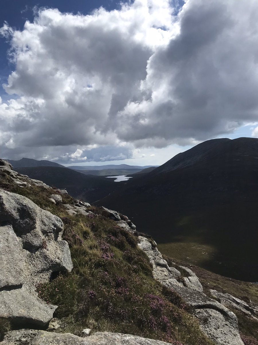 Paul Hogg tweet media