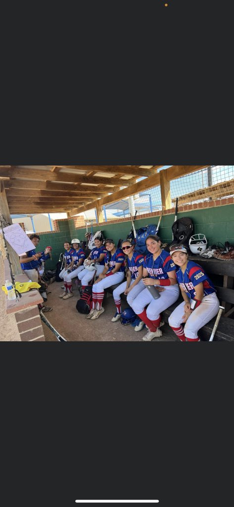 Premier Gold Fastpitch tweet media
