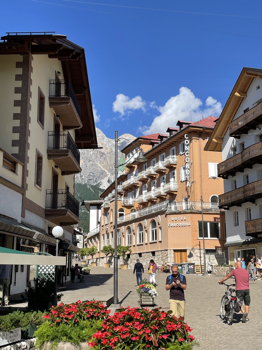 Igotzbrainz tweet media