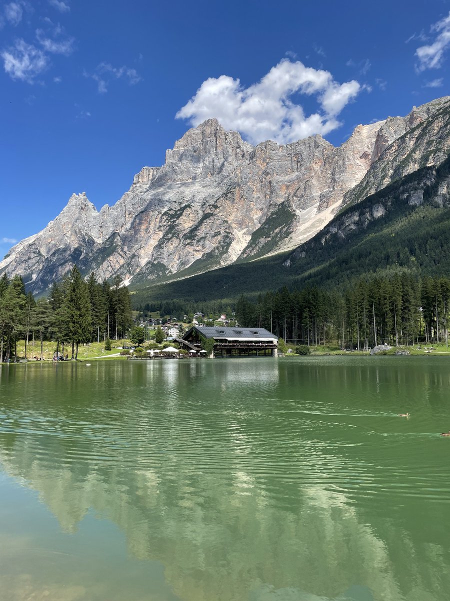 Igotzbrainz tweet media