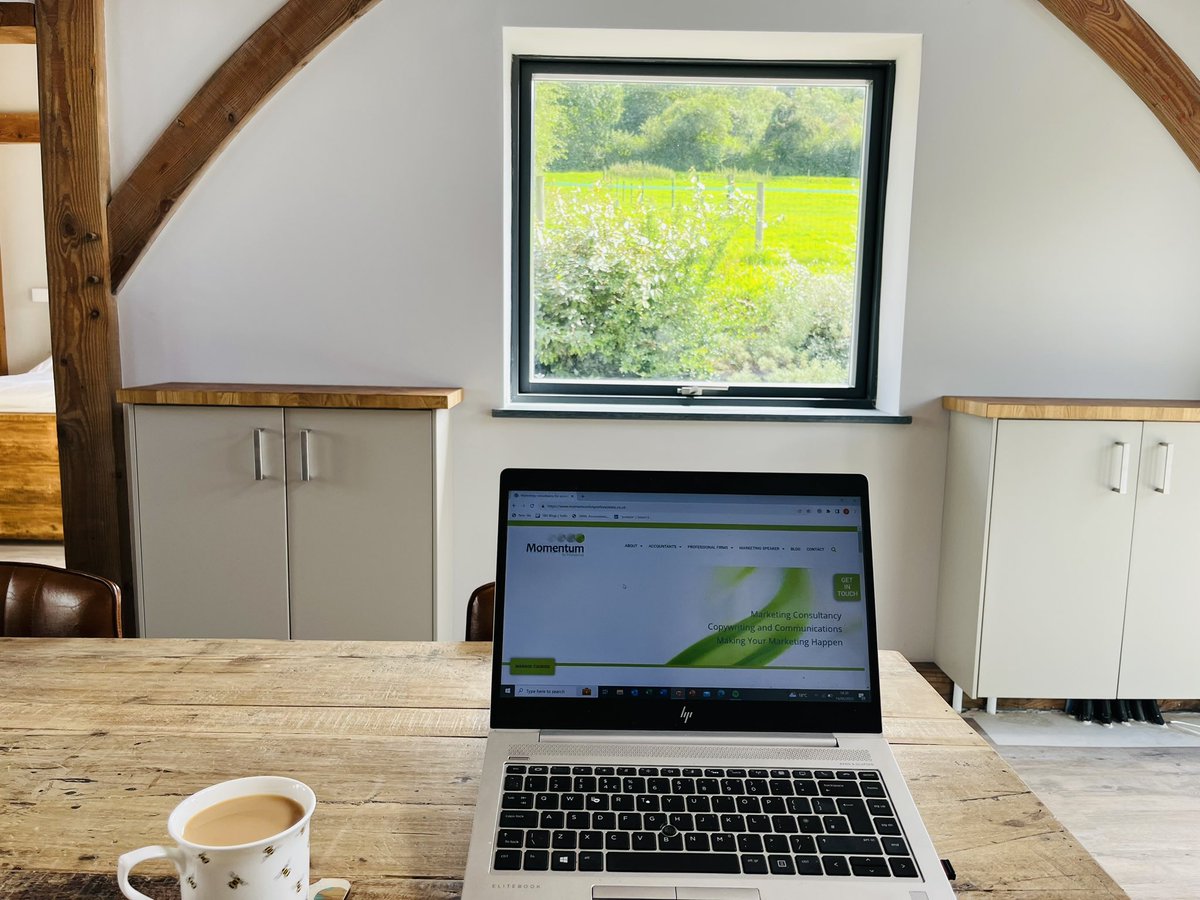 Momentum tweet media