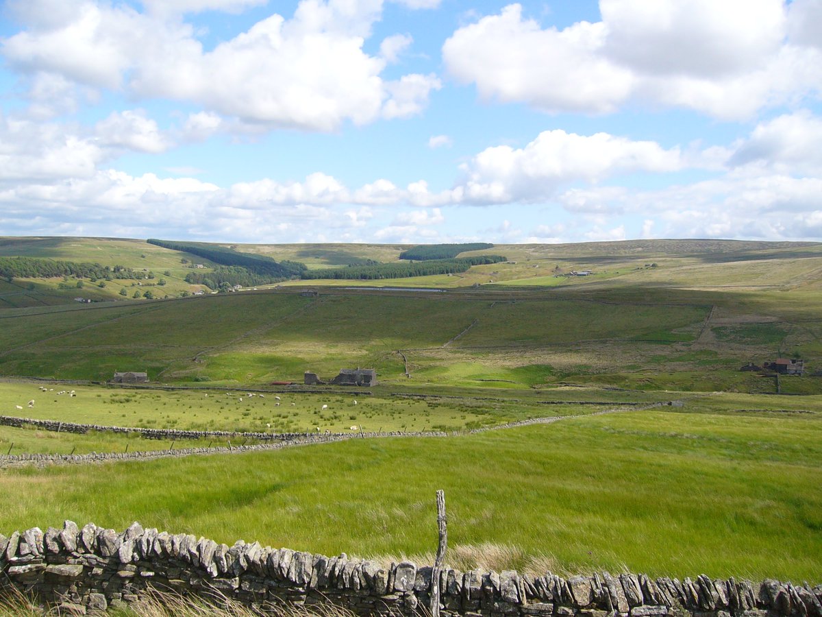 Words_by_B's tweet image. Out here
all I can hear
is the gentle music of nature
the bleet of moorland sheep
on the far hillside

meadow pipits whistling 
in the tall grass
the tinkling of leaves
on the twisted old oak tree

&amp;amp; the #scrape of a
big iron gate as it swings
open in the northerly wind

#vss365