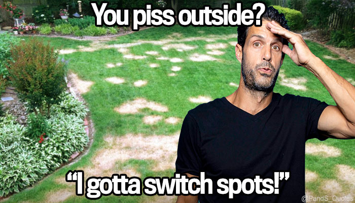 PandS_quotes's tweet photo. "I pee 5 times outside for every 1 in my toilet, from June through September." @mycorreale "You piss outside?" @SebastianComedy "I gotta switch spots!" "Now I'm gonna think you're pissing in the yard without me looking." #EP565 #thepeteandsebastianshow #summerhang https://t.co/Atb94vX3WR