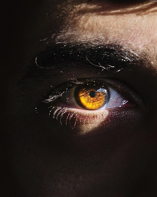 boksör, asker, 1.92 boy, altın hareleri olan Kunt Vidar Karyeli.