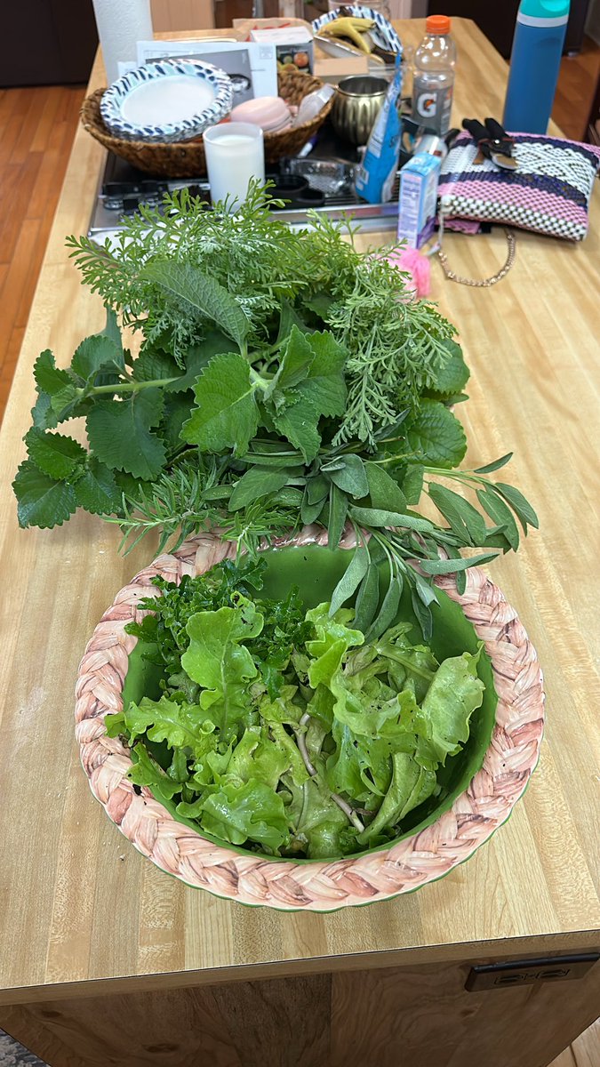 jsd007jd's tweet photo. Fresh lettuce and herbs from the garden! Yum! Smells so good! Also, trying to salvage and make spices before the heat destroys all of it. Got receipts? Please share! Lettuce, sage, lavender, rosemary, basil, lemon thyme and thyme! #gardener #herbs #lettuce #homegrown #lettuce https://t.co/qEUhCo9jqa